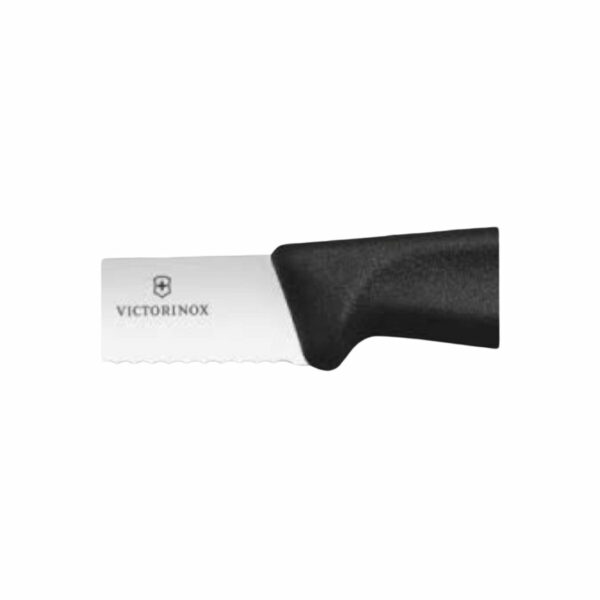 Victorinox Swiss Classic Gourmet Μαχαίρι Κρέατος Οδοντωτό 12cm σετ 2τεμ 6.7933.12b (1)