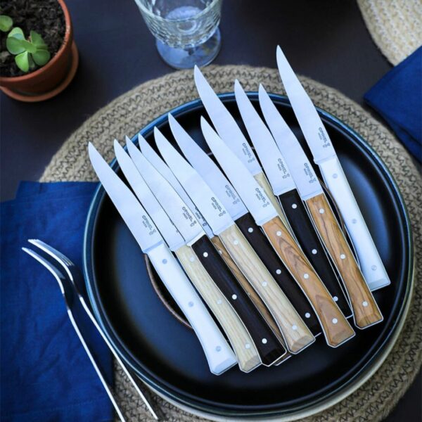 Opinel Set Of 4 Facette Mixedtable Knives Σετ Μαχαίρια Facette 4τεμ. Mixed 002568 (3)