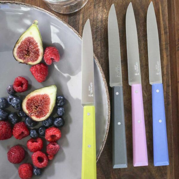 Opinel Set Of 4 Table Knives N°125 Bon Appetit Campagne 001533 (3)