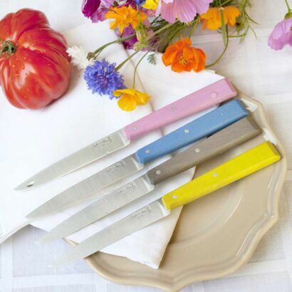 Opinel Set Of 4 Table Knives N°125 Bon Appetit Campagne 001533 (4)